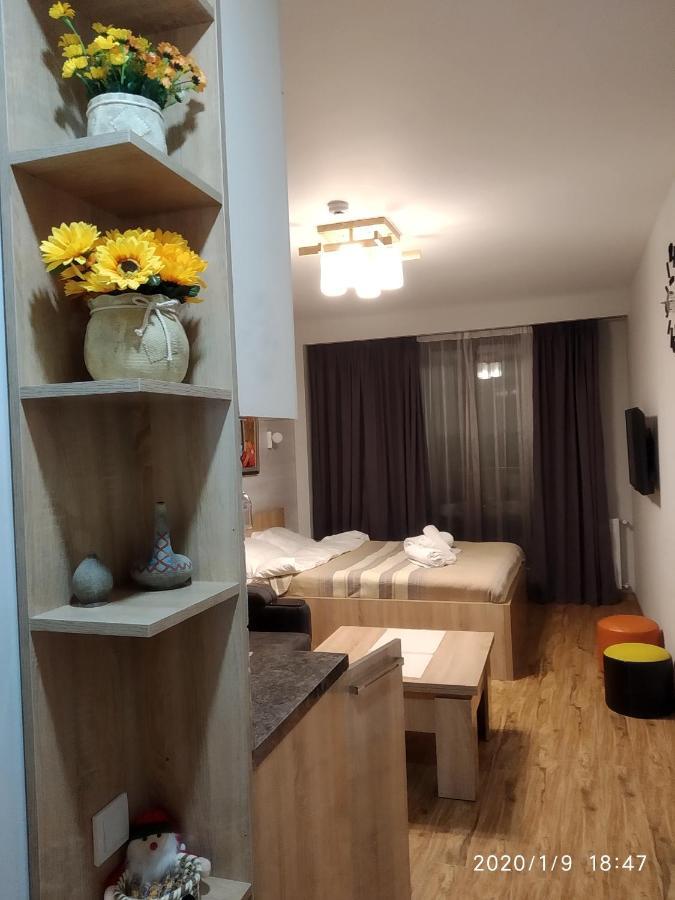 neu gudauri loft2 с видом на горы Екстер'єр фото